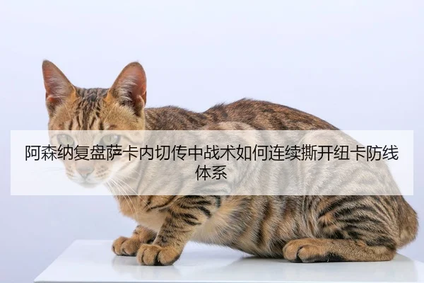 阿森纳复盘萨卡内切传中战术如何连续撕开纽卡防线体系